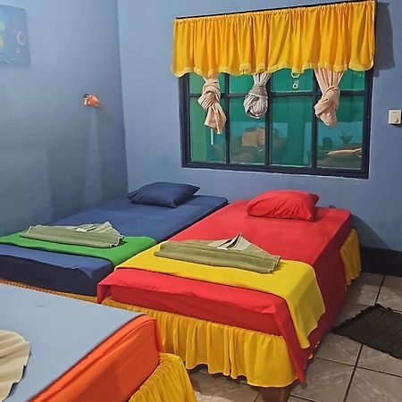Cabinas Tortuguero Natural エクステリア 写真