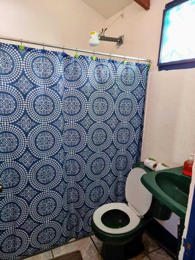 Cabinas Tortuguero Natural エクステリア 写真