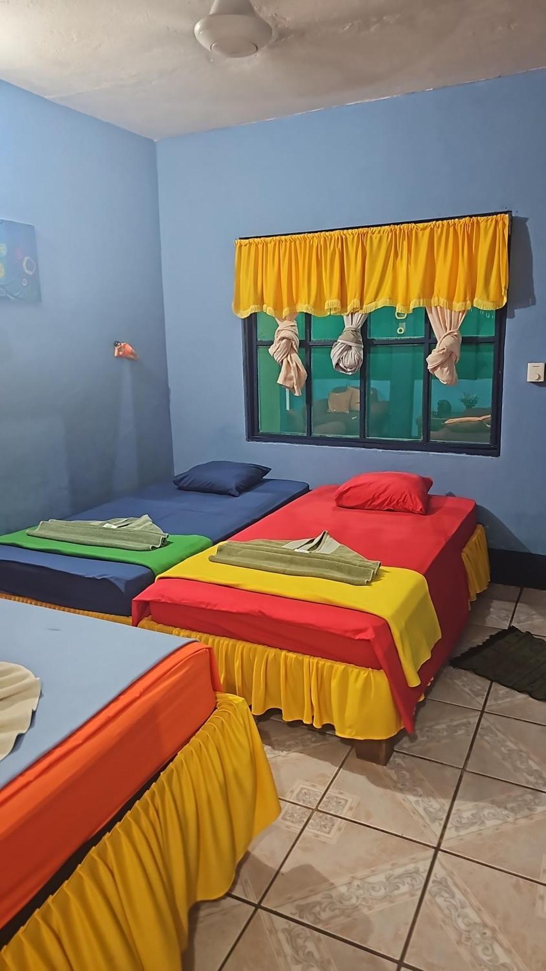 Cabinas Tortuguero Natural エクステリア 写真