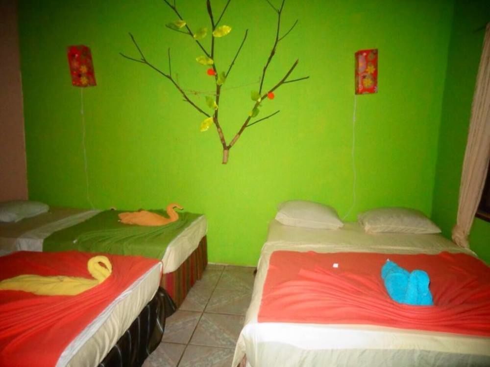 Cabinas Tortuguero Natural エクステリア 写真
