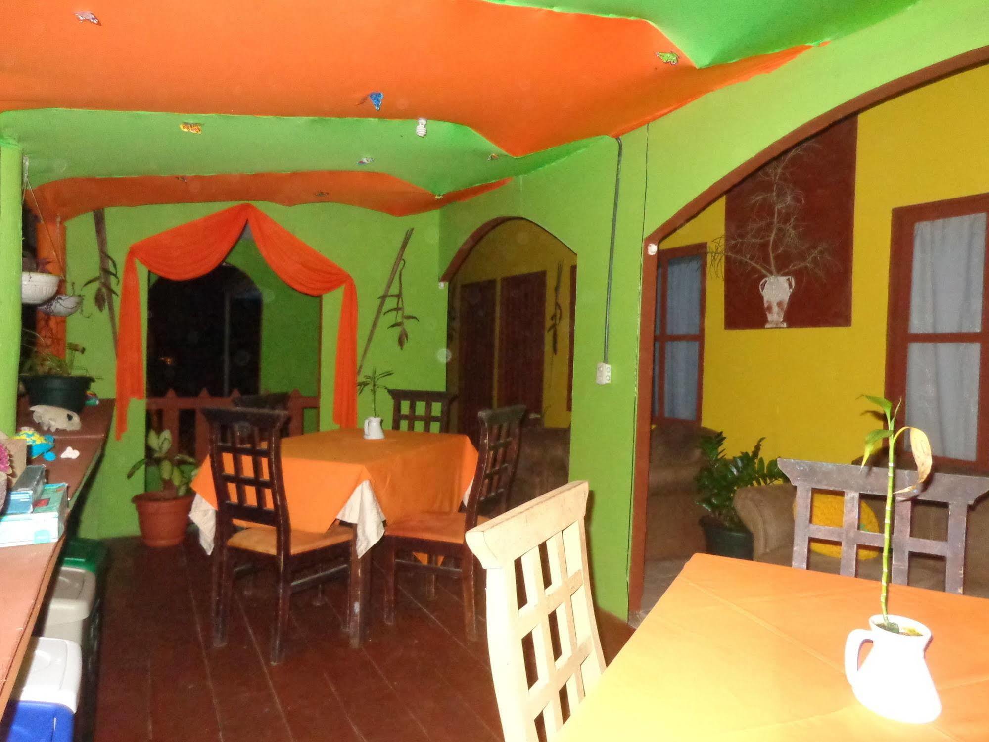 Cabinas Tortuguero Natural エクステリア 写真